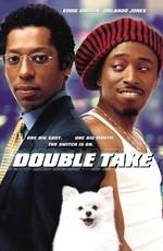 Двойные неприятности / Double Take (2001) смотреть онлайн бесплатно в отличном качестве