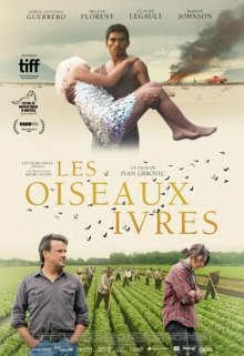 Пьяные пташки / Les oiseaux ivres (2021) смотреть онлайн бесплатно в отличном качестве