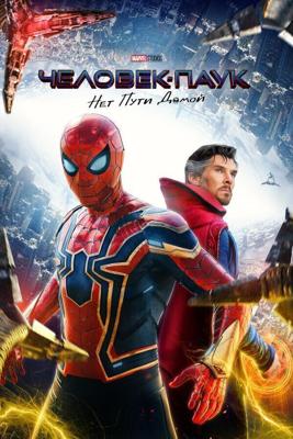 Человек-паук: Нет пути домой (Spider-Man: No Way Home) 2021 года смотреть онлайн бесплатно в отличном качестве. Постер