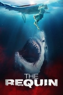 Акулы / Рекуин / The Requin (2022) смотреть онлайн бесплатно в отличном качестве