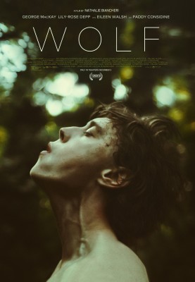 Волк как я / Wolf Like Me (2022) смотреть онлайн бесплатно в отличном качестве