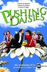 Мертвые до востребования / Pushing Daisies (2009) смотреть онлайн бесплатно в отличном качестве