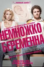 Немножко беременна / Knocked Up (2007) смотреть онлайн бесплатно в отличном качестве