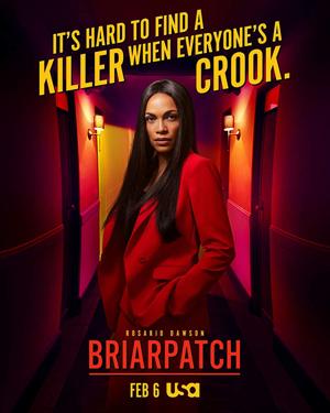 Терновый куст / Briarpatch (2019) смотреть онлайн бесплатно в отличном качестве