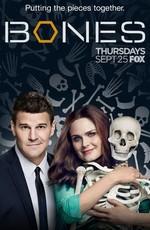 Кости (Bones) 2005 года смотреть онлайн бесплатно в отличном качестве. Постер