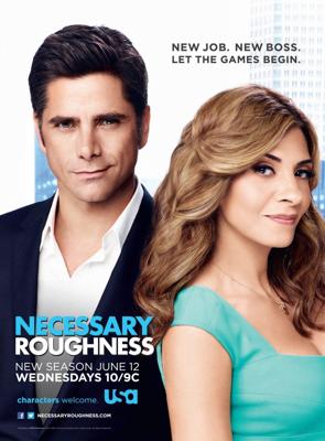 Необходимая жестокость / Necessary Roughness (2011) смотреть онлайн бесплатно в отличном качестве