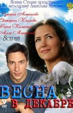 Весна в декабре /  (2011) смотреть онлайн бесплатно в отличном качестве