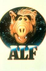 Альф / ALF (1986) смотреть онлайн бесплатно в отличном качестве