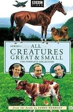 О всех созданиях - больших и малых (All Creatures Great and Small) 1978 года смотреть онлайн бесплатно в отличном качестве. Постер