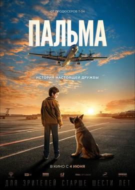 Пальма /  (2021) смотреть онлайн бесплатно в отличном качестве