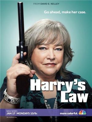 Закон Хэрри / Harry's Law (2011) смотреть онлайн бесплатно в отличном качестве