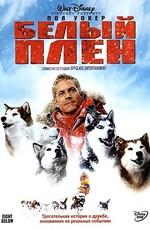 Белый плен / Eight Below (2006) смотреть онлайн бесплатно в отличном качестве