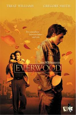 Любовь вдовца (Everwood) 2002 года смотреть онлайн бесплатно в отличном качестве. Постер