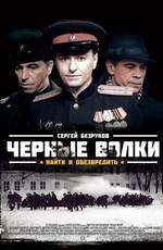 Чёрные волки /  (2011) смотреть онлайн бесплатно в отличном качестве