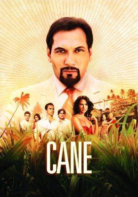 Плантация / Cane (2007) смотреть онлайн бесплатно в отличном качестве