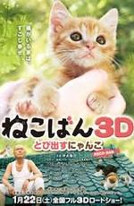 Кошки в твоей жизни / Nekoban: Tobidasu nyanko (2011) смотреть онлайн бесплатно в отличном качестве