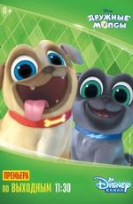 Дружные мопсы / Puppy Dog Pals (2017) смотреть онлайн бесплатно в отличном качестве