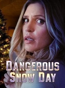 Опасный зимний день (Dangerous Snow Day) 2021 года смотреть онлайн бесплатно в отличном качестве. Постер