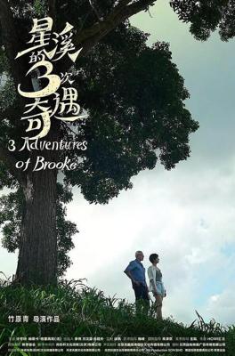 Три приключения Брук / Three Adventures of Brooke (2018) смотреть онлайн бесплатно в отличном качестве