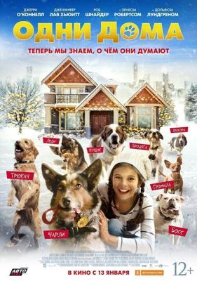 Одни дома / Pups Alone (2021) смотреть онлайн бесплатно в отличном качестве