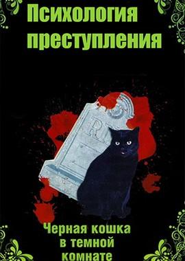 Психология преступления. Чёрная кошка в тёмной комнате () 2021 года смотреть онлайн бесплатно в отличном качестве. Постер