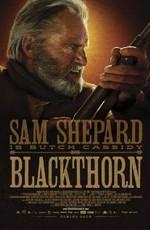 Блэкторн / Blackthorn (2011) смотреть онлайн бесплатно в отличном качестве