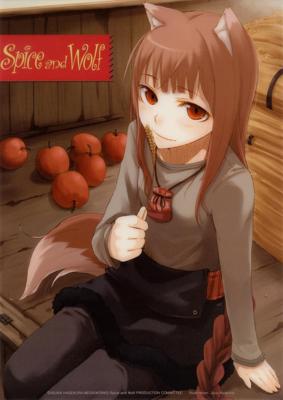 Волчица и пряности / Spice and Wolf (2008) смотреть онлайн бесплатно в отличном качестве