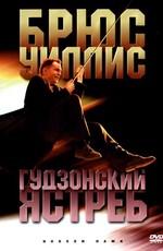 Гудзонский ястреб / Hudson Hawk () смотреть онлайн бесплатно в отличном качестве