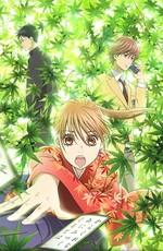 Игра Тихайи / Chihayafuru (2011) смотреть онлайн бесплатно в отличном качестве