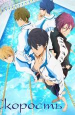 Свобода! Бесконечное лето / Free! – Iwatobi Swim Club (None) смотреть онлайн бесплатно в отличном качестве