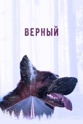 Верный /  (2016) смотреть онлайн бесплатно в отличном качестве