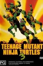 Черепашки мутанты ниндзя 3 / Teenage Mutant Ninja Turtles III () смотреть онлайн бесплатно в отличном качестве