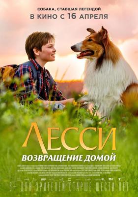 Дорога к дому (Jibeuro) 2003 года смотреть онлайн бесплатно в отличном качестве. Постер