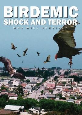 Птицекалипсис: Шок и Трепет (Birdemic: Shock and Terror)  года смотреть онлайн бесплатно в отличном качестве. Постер