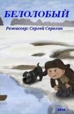 Белолобый