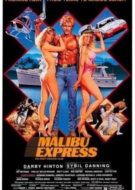 Малибу-экспресс / Malibu Express (None) смотреть онлайн бесплатно в отличном качестве